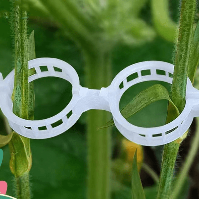 Custom Plastic Plant Support Clips for Vegetable Usage Factory2