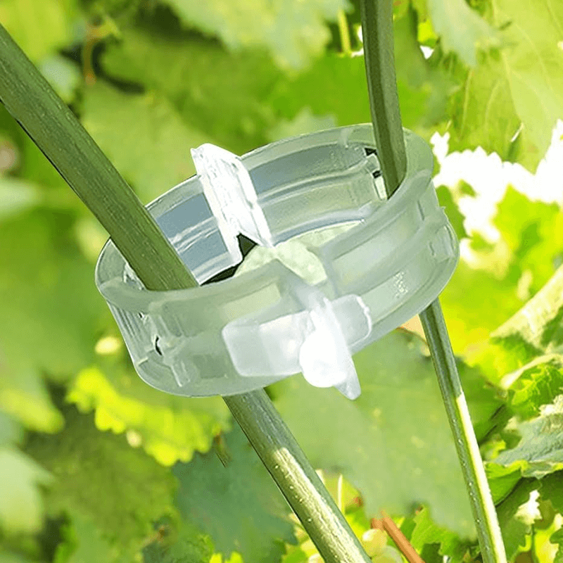 Custom Plastic Plant Support Clips for Vegetable Usage Factory3
