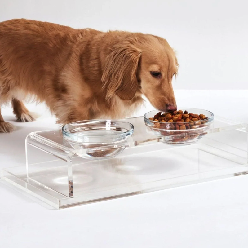 What Material Should Dog Bowls Be Made Of4