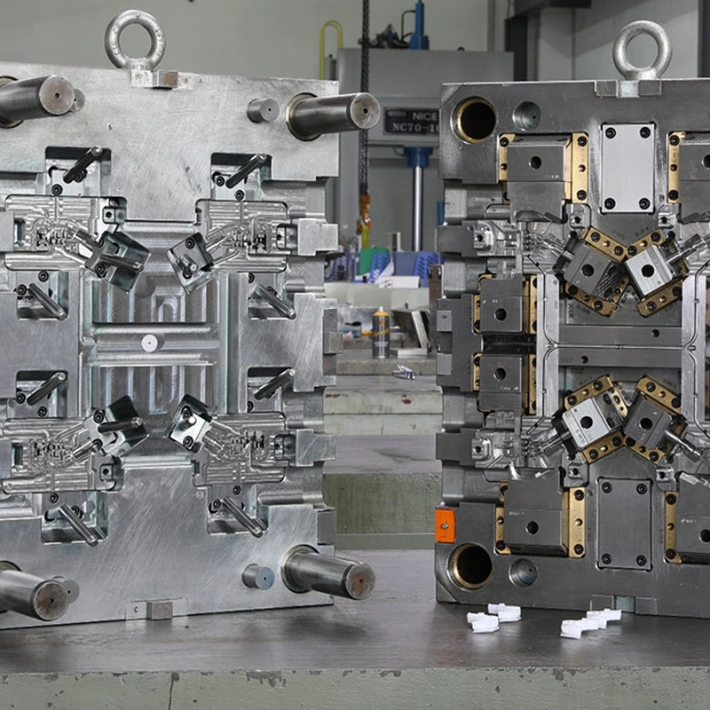 What Should You Ask Before Starting a Mold Project6